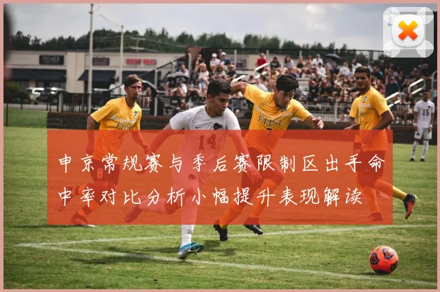 申京常规赛与季后赛限制区出手命中率对比分析小幅提升表现解读